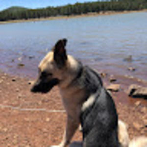 Meet your Posher, Shannon